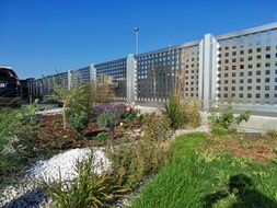 Hliníková rámová plotová pole s výplní ALSQUARE, bez lakování, hliníkové sloupky, zakázková výroba FL BRÁNY (ilustrační foto)  Hliníková rámová plotová pole s výplní ALSQUARE, bez lakování, hliníkové sloupky, zakázková výroba FL BRÁNY (ilustrační foto)