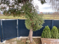Hliníková vstupní branka a plotová pole s lakovanou výplní OFFICE (RAL 7016), zakázková výroba FL BRÁNY (ilustrační foto)