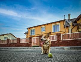 Vstupní branka s hliníkovým rámem a hliníková rámová plotová pole s výplní PILWOOD, zakázková výroba - značka FL BRÁNY 