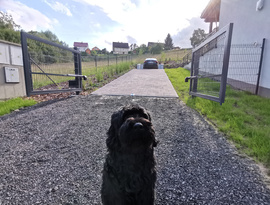 Automatická hliníková posuvná brána, plotová pole, branka, elektrický pohon. Zakázková výroba FL BRÁNY.